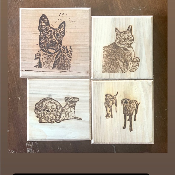 Laser Engineering of Pets, People, and Anything Else - Picture 5 of 6